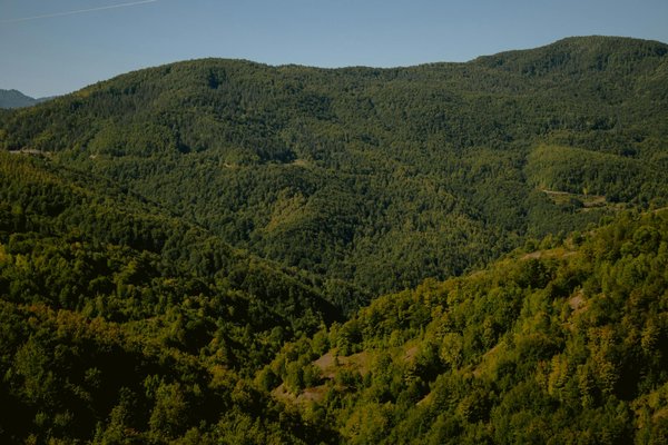 L'impact surprenant de la bétadine sur les cheveux colorés